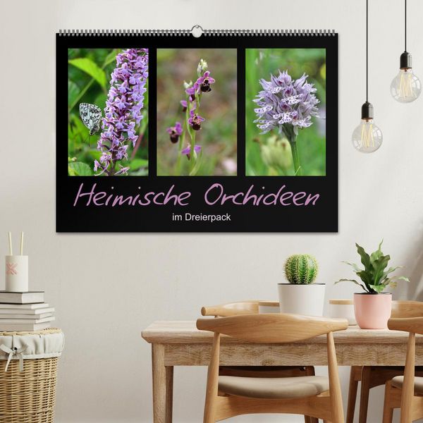 Produktbild: Heimische Orchideen im Dreierpack (Wandkalender 2026 DIN A2 quer), CALVENDO Monatskalender