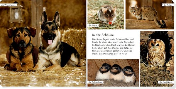 Produktbild: Meine liebsten Tiere auf dem Bauernhof