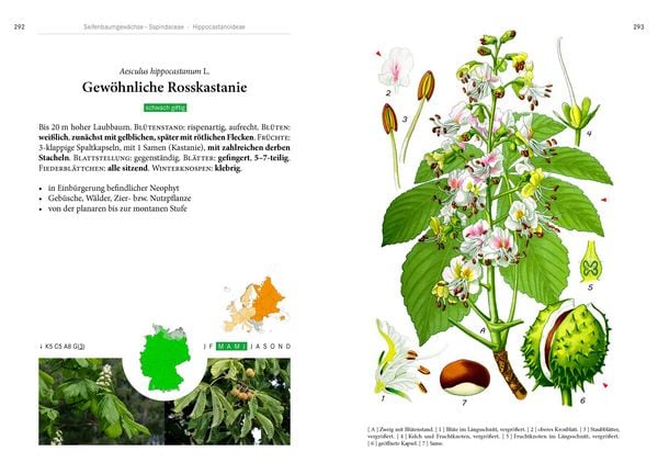 Produktbild: B&auml;ume