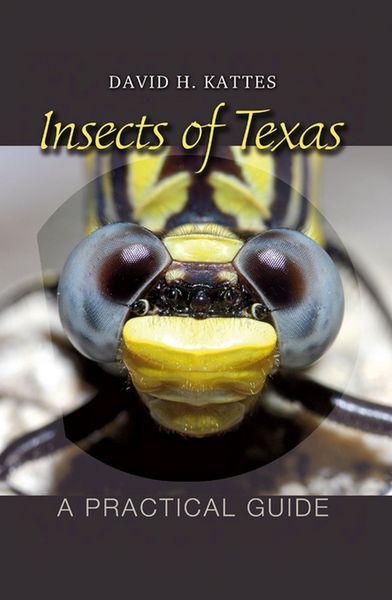Produktbild: Insects of Texas