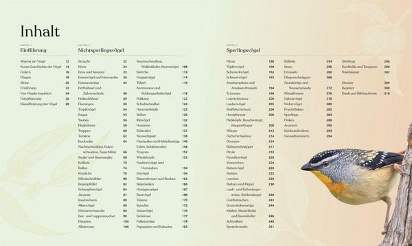 Produktbild: V&ouml;gel - Eine Natur- und Kulturgeschichte