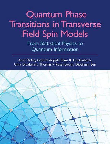 Produktbild: Quantum Phase Transitions in Transverse Field Spin Models