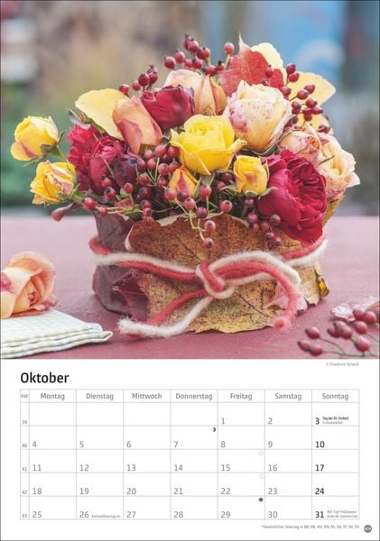 Produktbild: Rosenpracht Kalender 2027
