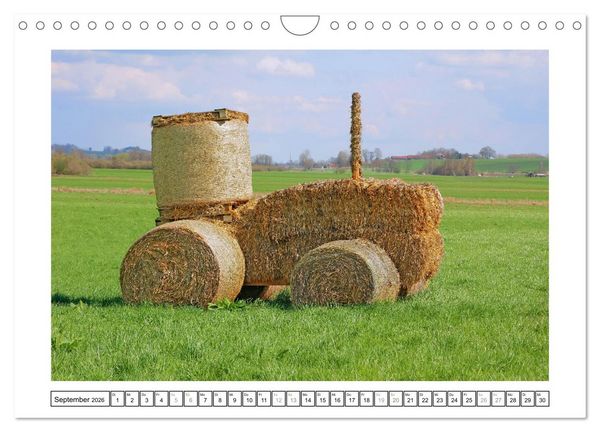 Produktbild: Gute-Laune-Bildkalender 2026 (Wandkalender 2026 DIN A4 quer), CALVENDO Monatskalender
