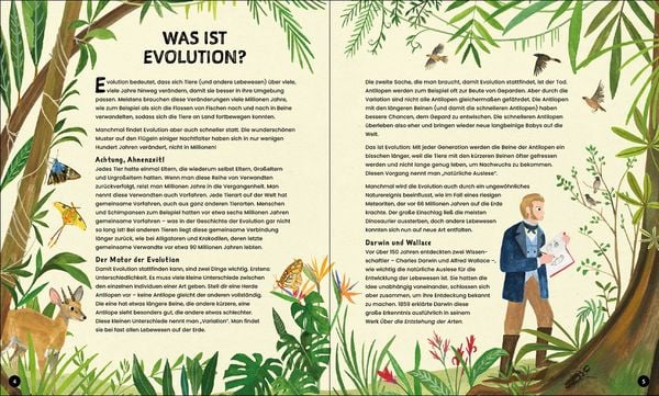 Produktbild: Evolution - Aussterben oder &uuml;berleben? Du entscheidest!