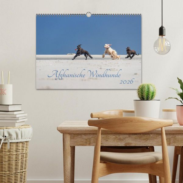 Produktbild: AFGHANISCHE WINDHUNDE 2026 (Wandkalender 2026 DIN A3 quer), CALVENDO Monatskalender