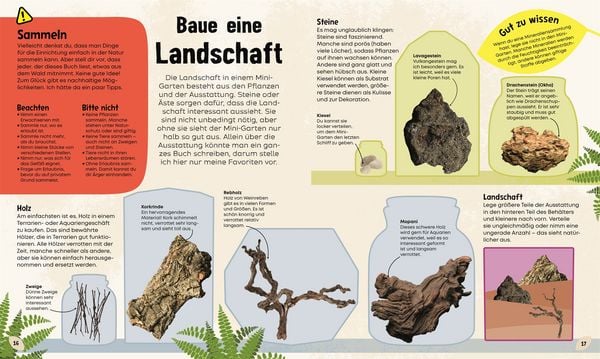Produktbild: Mein Mini-Garten im Glas