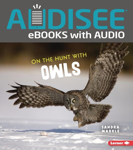 Produktbild: On the Hunt with Owls