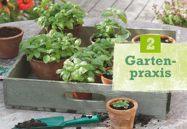 Produktbild: Kr&auml;uter selbst anbauen