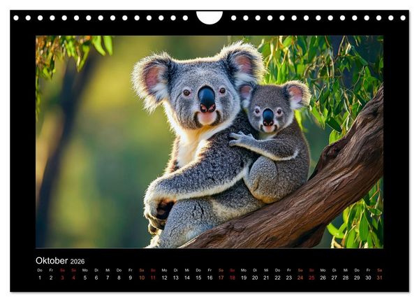 Produktbild: Wundervolle Augenblicke (Wandkalender 2026 DIN A4 quer), CALVENDO Monatskalender