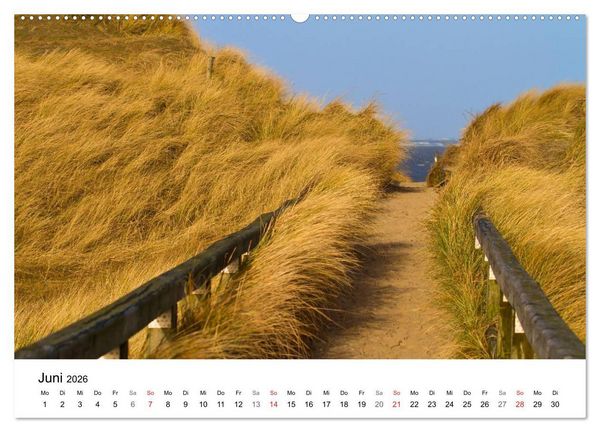 Produktbild: Auf neuen Wegen (hochwertiger Premium Wandkalender 2026 DIN A2 quer), Kunstdruck in Hochglanz