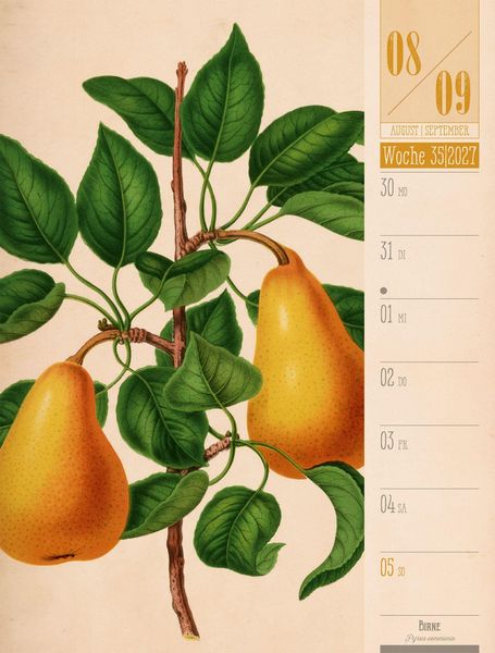 Produktbild: Culinarium Wochenplaner Kalender 2027 | K&uuml;che, Kr&auml;uter, Kurioses