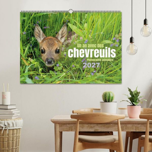 Produktbild: Un an avec des chevreuils (Calendrier mural 2027 DIN A2 vertical), CALVENDO calendrier mensuel