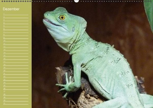 Produktbild: Drachen / Geburtstagskalender (Wandkalender immerw&auml;hrend DIN A2 quer)