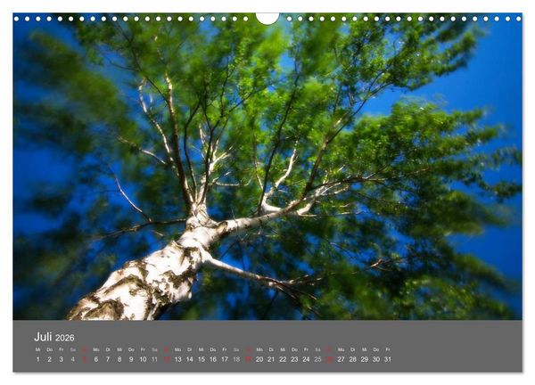 Produktbild: B&auml;ume (Wandkalender 2026 DIN A3 quer), CALVENDO Monatskalender