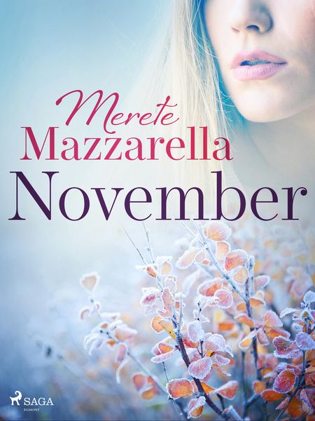 Produktbild: November