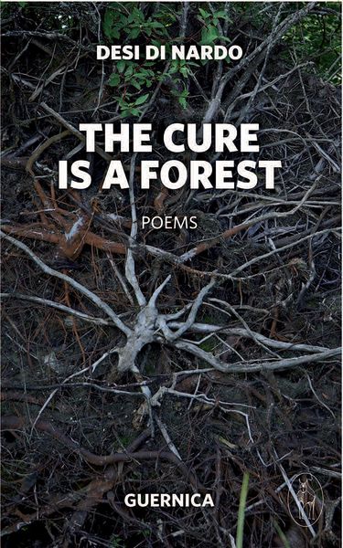 Produktbild: Cure Is a Forest