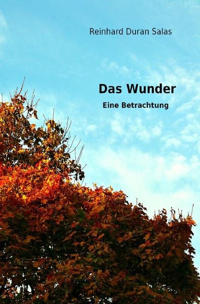 Produktbild: Das Wunder