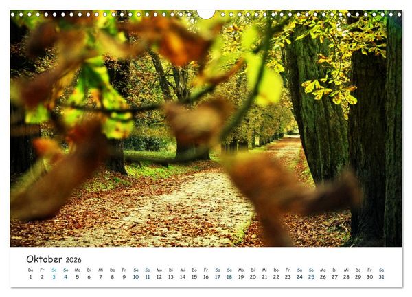 Produktbild: S&uuml;dost R&uuml;gen 2026 (Wandkalender 2026 DIN A3 quer), CALVENDO Monatskalender