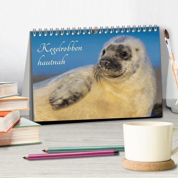 Produktbild: Kegelrobben hautnah (Tischkalender 2026 DIN A5 quer), CALVENDO Monatskalender