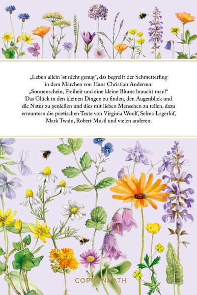 Produktbild: Sonnenschein, Freiheit und eine kleine Blume braucht man