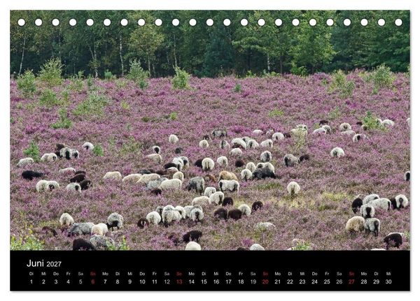 Produktbild: L&uuml;neburger Heide (Tischkalender 2027 DIN A5 quer), CALVENDO Monatskalender