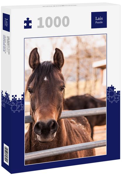 Produktbild: Lais Puzzle Thoroughbred Horse 1000 Teile