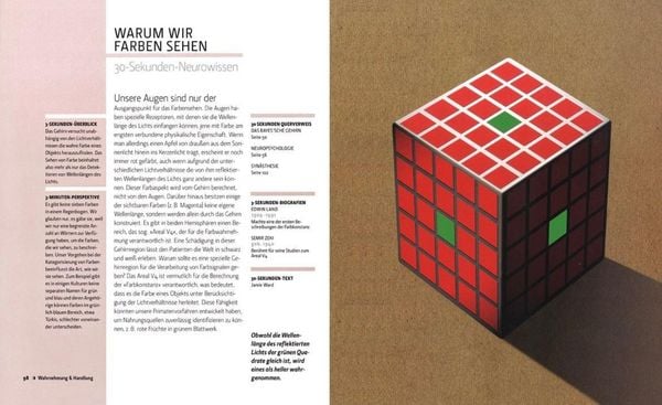 Produktbild: Das Gehirn in 30 Sekunden