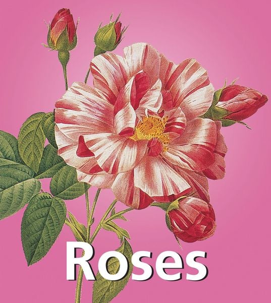 Produktbild: Roses