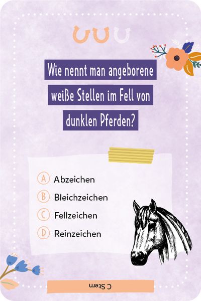 Kartenspiel: Das pferdestarke Quiz von den beliebten Social-Media-Stars Lia und Lea - # ponylife