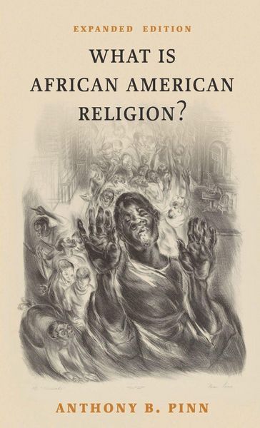 Produktbild: What Is African American Religion?