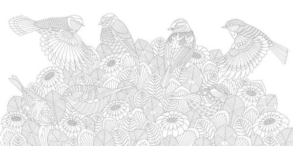 Produktbild: Millie Marotta's Beautiful Birds and Treetop Treasures: Mini Edition