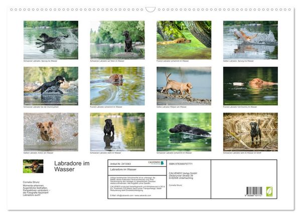 Produktbild: Labradore im Wasser (Wandkalender 2027 DIN A2 quer), CALVENDO Monatskalender