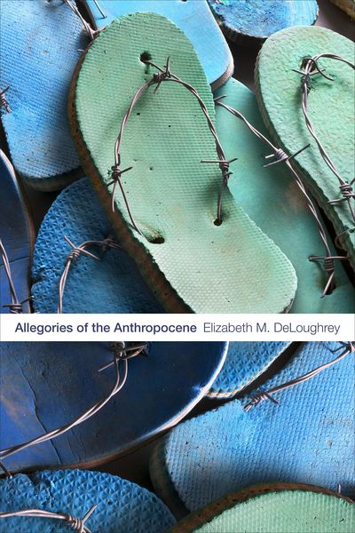 Produktbild: Allegories of the Anthropocene