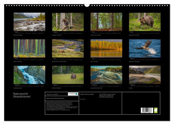 Produktbild: Naturwucht Skandinavien (Wandkalender 2026 DIN A2 quer), CALVENDO Monatskalender