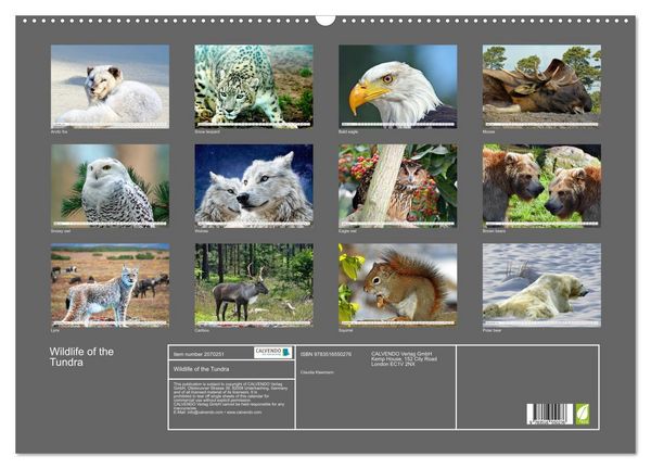Produktbild: Wildlife of the Tundra (Wall Calendar 2026 DIN A2 landscape), CALVENDO 12 Month Wall Calendar