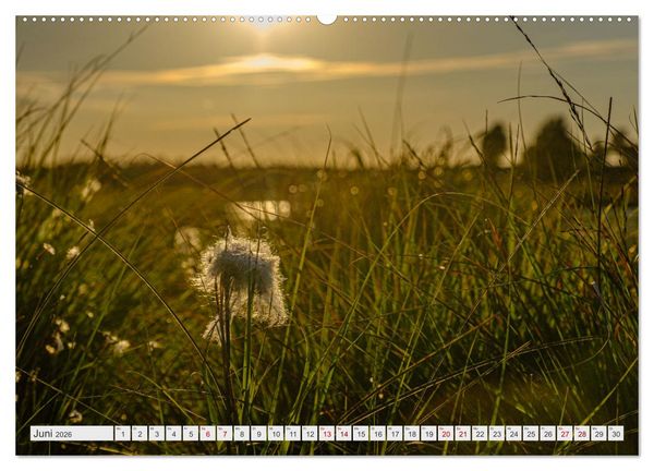 Produktbild: Traumlandschaft Hohes Venn (hochwertiger Premium Wandkalender 2026 DIN A2 quer), Kunstdruck in Hochglanz