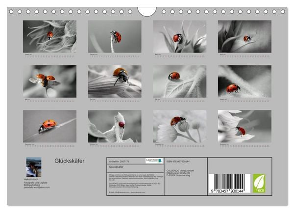 Produktbild: Gl&uuml;cksk&auml;fer (Wandkalender 2026 DIN A4 quer), CALVENDO Monatskalender
