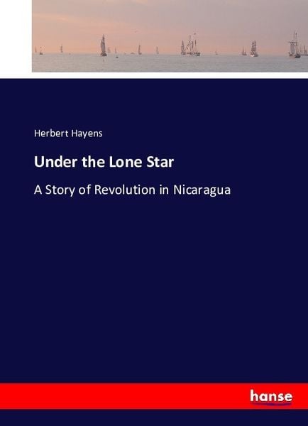 Under the Lone Star, Taschenbuch von Herbert Hayens, Hansebooks, 9783743408142