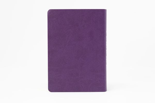 Produktbild: Die Bibel. Senfkorn, Handschmeichler lila