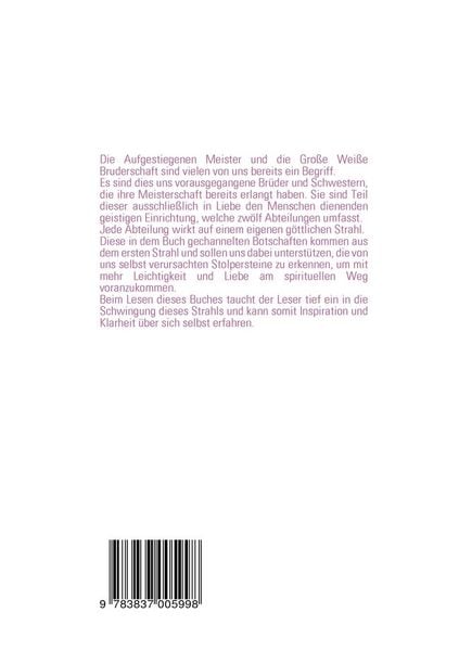 Produktbild: Wissenswertes der Meister des ersten göttlichen Strahls