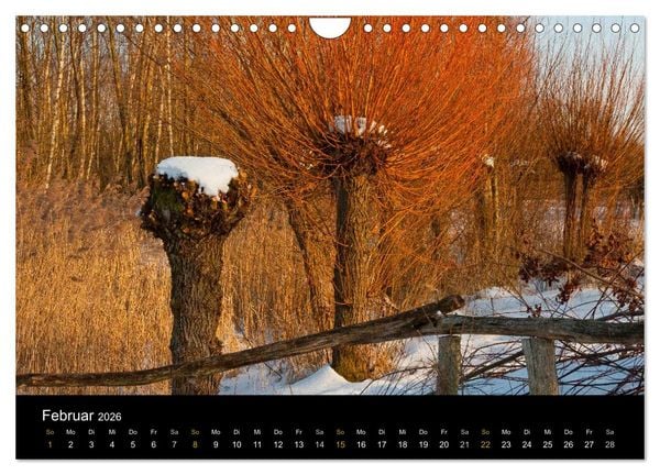 Produktbild: Brandenburg - Landschaften zwischen Elbe und Oder (Wandkalender 2026 DIN A4 quer), CALVENDO Monatskalender
