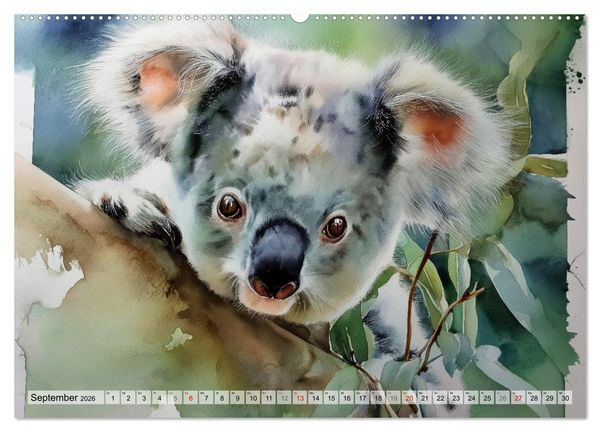 Produktbild: Koalas, liebenswerte kleine Schlafm&uuml;tzen (hochwertiger Premium Wandkalender 2026 DIN A2 quer), Kunstdruck in Hochglanz