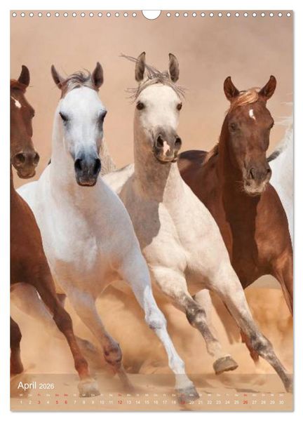 Produktbild: Arabische Pferde &bull; Gesch&ouml;pfe des Windes (Wandkalender 2026 DIN A3 hoch), CALVENDO Monatskalender