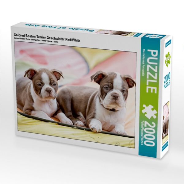 Produktbild: Colored Boston Terrier Geschwister Red/White (Puzzle)