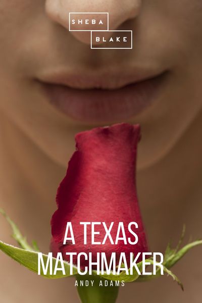 Produktbild: A Texas Matchmaker