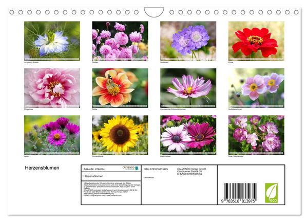 Produktbild: Herzensblumen (Wandkalender 2027 DIN A4 quer), CALVENDO Monatskalender