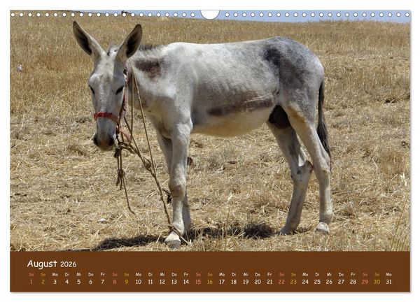 Produktbild: Extremadura Spanien (Wandkalender 2026 DIN A3 quer), CALVENDO Monatskalender
