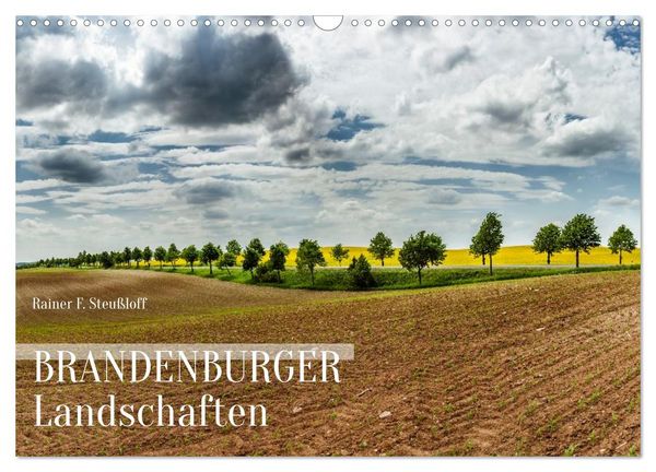 Produktbild: Brandenburger Landschaften (Wandkalender 2026 DIN A3 quer), CALVENDO Monatskalender