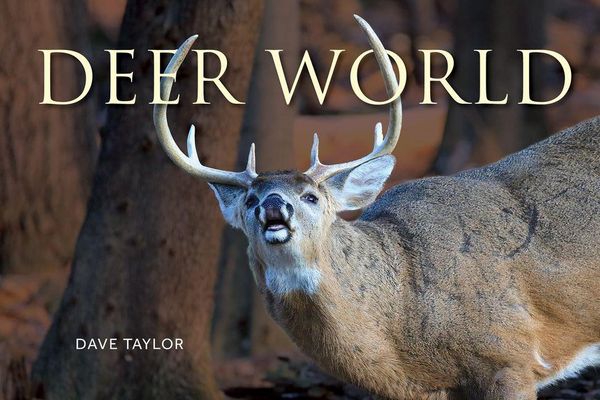 Produktbild: Deer World